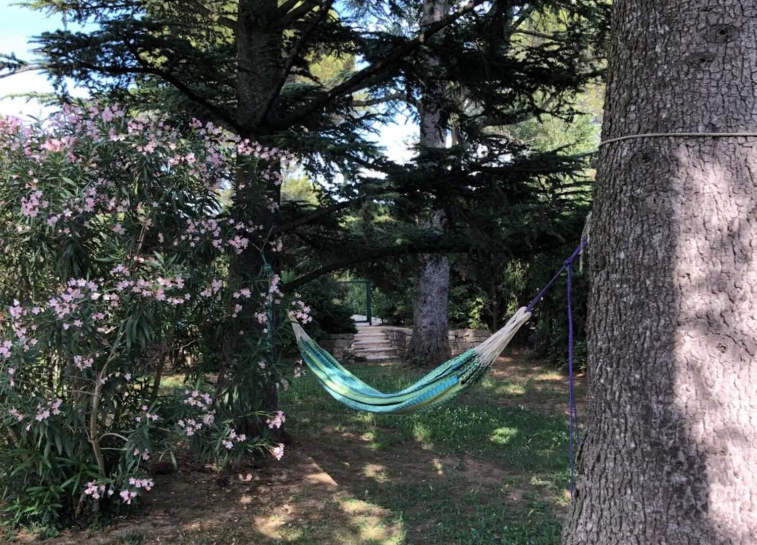 Bed and Breakfast Les Cedres Les Angles  Francia